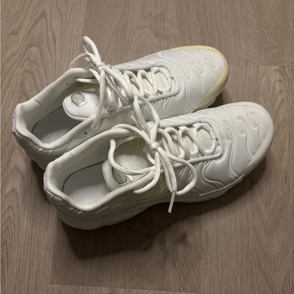 Nike Air Max Plus Big Kids' Shoe